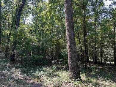 1500 FEET OF WATER FRONTAGE on beautiful Lake Sinclair. This - photo 44