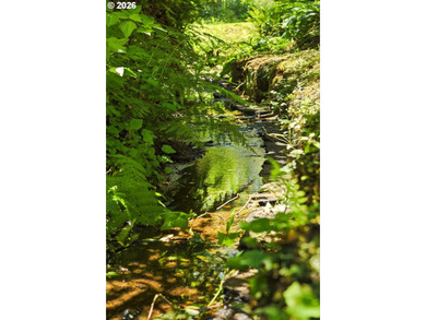 Tucked away at the end of a private driveway, this secluded and - photo 4