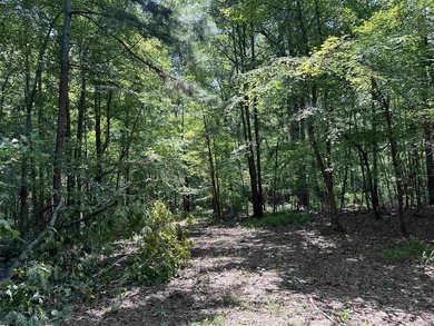 1500 FEET OF WATER FRONTAGE on beautiful Lake Sinclair. This - photo 46