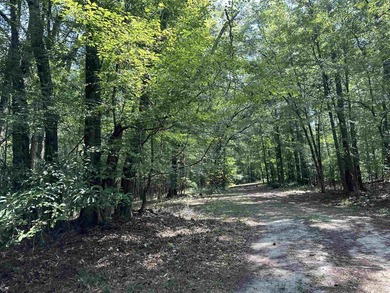 1500 FEET OF WATER FRONTAGE on beautiful Lake Sinclair. This - photo 47