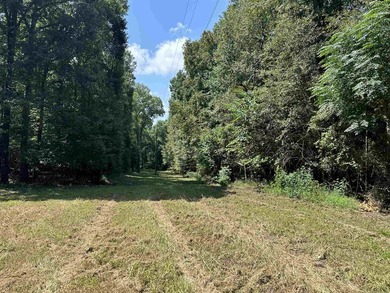 1500 FEET OF WATER FRONTAGE on beautiful Lake Sinclair. This - photo 48