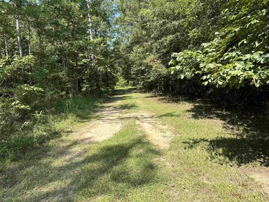 1500 FEET OF WATER FRONTAGE on beautiful Lake Sinclair. This - photo 49