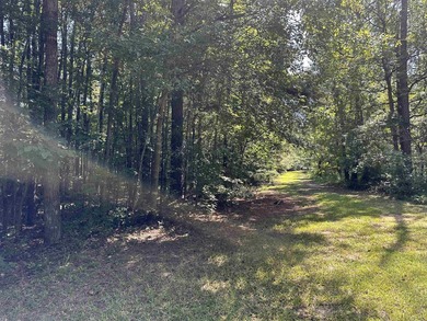 1500 FEET OF WATER FRONTAGE on beautiful Lake Sinclair. This - photo 51