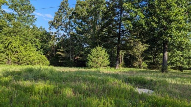 Lake Acreage For Sale in Kissee Mills, Missouri