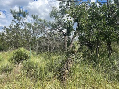 Lake Lot For Sale in Granite Shoals, Texas