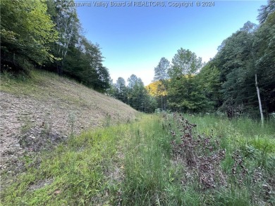  Acreage For Sale in Danville West Virginia