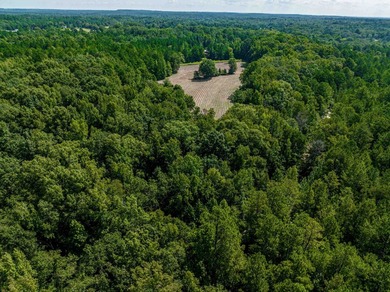 1500 FEET OF WATER FRONTAGE on beautiful Lake Sinclair. This - photo 53