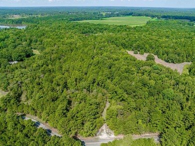 1500 FEET OF WATER FRONTAGE on beautiful Lake Sinclair. This - photo 56