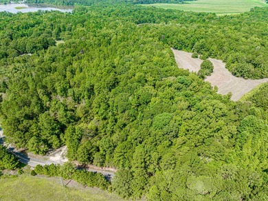 1500 FEET OF WATER FRONTAGE on beautiful Lake Sinclair. This - photo 57