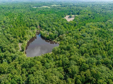 1500 FEET OF WATER FRONTAGE on beautiful Lake Sinclair. This - photo 59
