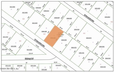 St. Johns River Lot For Sale in East Palatka Florida