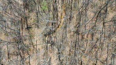 Did you say roughly 23 acres of heavily wooded ground currently - photo 11