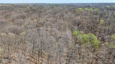 Did you say roughly 23 acres of heavily wooded ground currently - photo 12