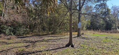 Discover the possibilities at 5676 Soutel Dr, Jacksonville, FL! - photo 13