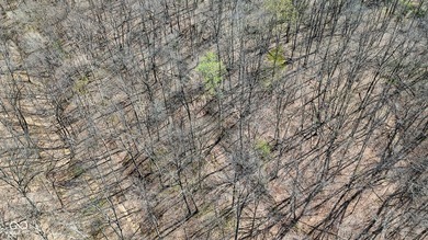 Did you say roughly 23 acres of heavily wooded ground currently - photo 14