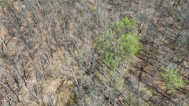 Did you say roughly 23 acres of heavily wooded ground currently - photo 15