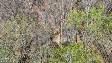 Did you say roughly 23 acres of heavily wooded ground currently - photo 16