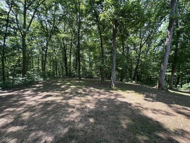Did you say roughly 23 acres of heavily wooded ground currently - photo 17