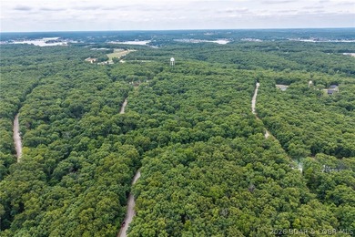 Build your dream home in the prestigious Porto Cima community at - photo 20