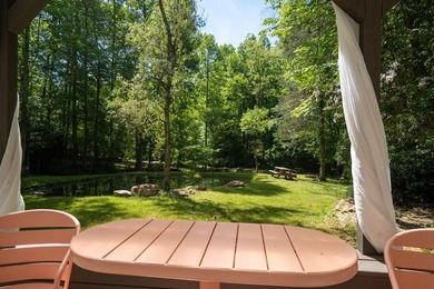 Dreaming of a unique Western NC hospitality venture where you - photo 20