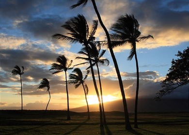 Easy to show. Best-priced oceanfront 2 bedroom - 2 bath in South - photo 29