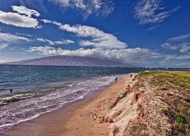 Easy to show. Best-priced oceanfront 2 bedroom - 2 bath in South - photo 30