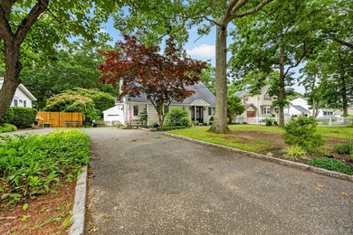 The home provides generous room sizes, abundant natural light - photo 42