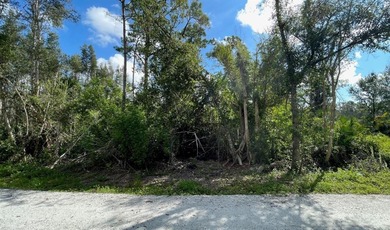 (private lake, pond, coastal) Lot For Sale in Punta Gorda Florida