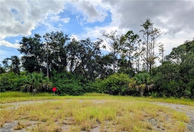Lehigh Acres Area Lot For Sale in Lehigh Acres Florida