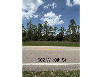 Lehigh Acres Area Lot For Sale in Lehigh Acres Florida
