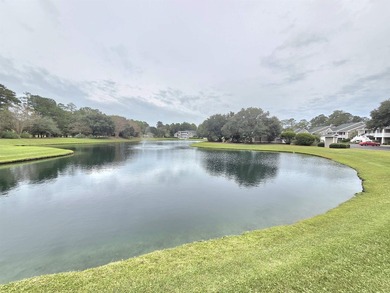 Convenient, Fully Furnished First-Floor Condo in True Blue Golf - photo 30