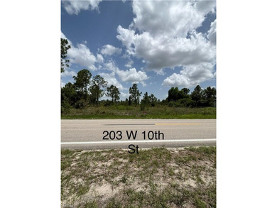 Lehigh Acres Area Lot For Sale in Lehigh Acres Florida