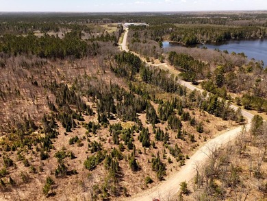 Escape to the Northwoods with this beautiful 5.03-acre parcel on - photo 14