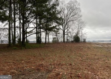Lake Lot For Sale in Centre, Alabama