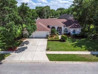 Lake Home For Sale in Odessa, Florida