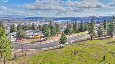 Additional listing photo 1