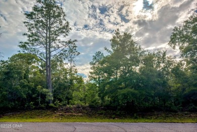 Lake Lot For Sale in Chipley, Florida