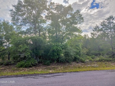 Boat Lake Lot For Sale in Chipley Florida