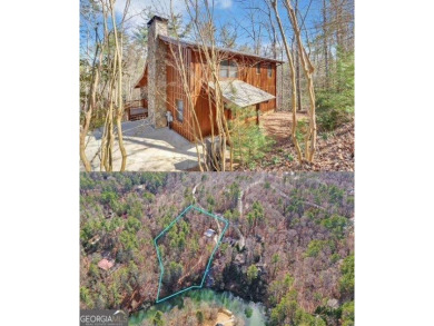 Lake Home For Sale in Ellijay, Georgia