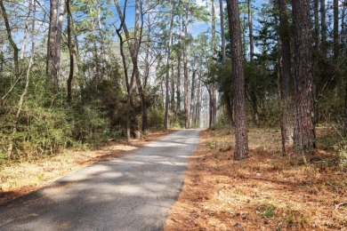 PRETTY LAKEFRONT VIEWS! - photo 29