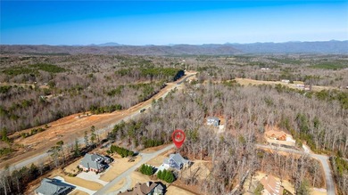 Welcome Home! This brand-new 4-bedroom, 3.5-bath home, expertly - photo 41