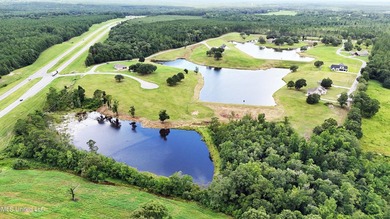 Lake front lots in a beautiful new Subdivision on Highway 63 - photo 6