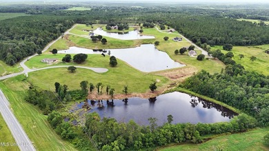Lake front lots in a beautiful new Subdivision on Highway 63 - photo 5