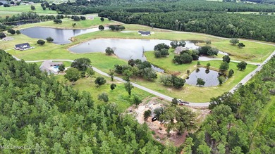 Lake front lots in a beautiful new Subdivision on Highway 63 - photo 10