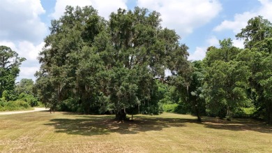 Lake Acreage Sale Pending in Greenville, Florida