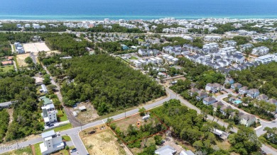 Powell Lake / Phillips Inlet Lot For Sale in Inlet Beach Florida