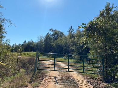 Pearl River Acreage For Sale in Poplarville Mississippi