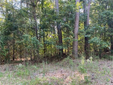 Rockdale Lake Lot For Sale in Conyers Georgia