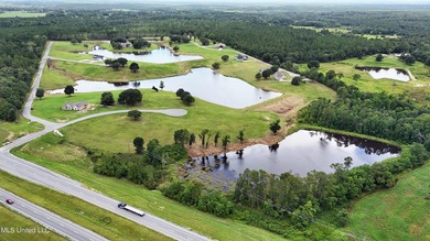 Lake front lots in a beautiful new Subdivision on Highway 63 - photo 4