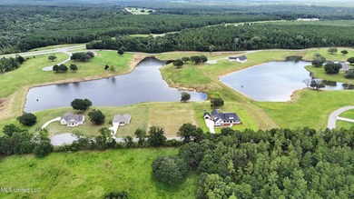Lake front lots in a beautiful new Subdivision on Highway 63 - photo 8